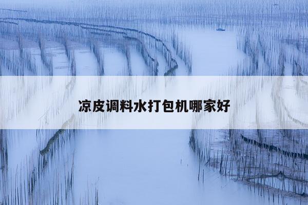 凉皮调料水打包机哪家好