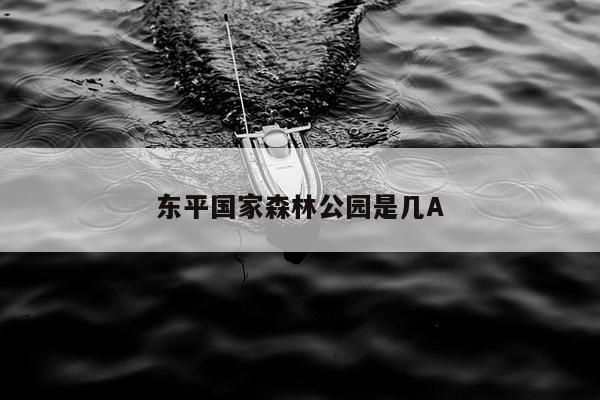 东平国家森林公园是几A