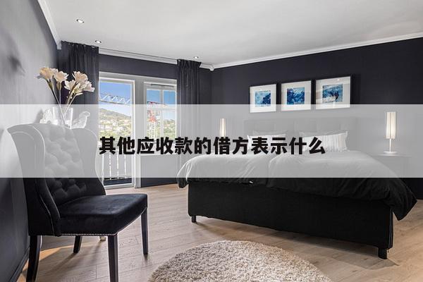其他应收款的借方表示什么