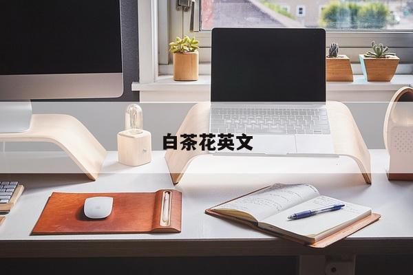 白茶花英文
