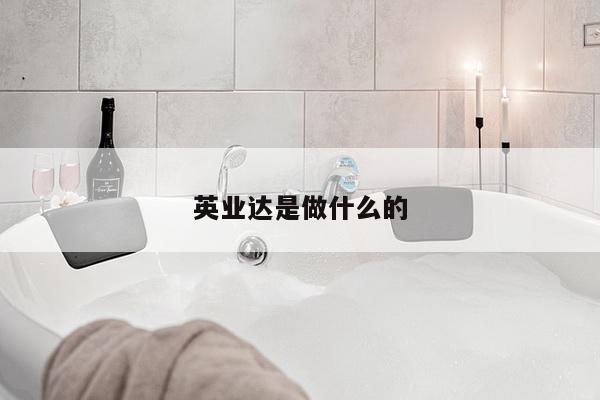 英业达是做什么的
