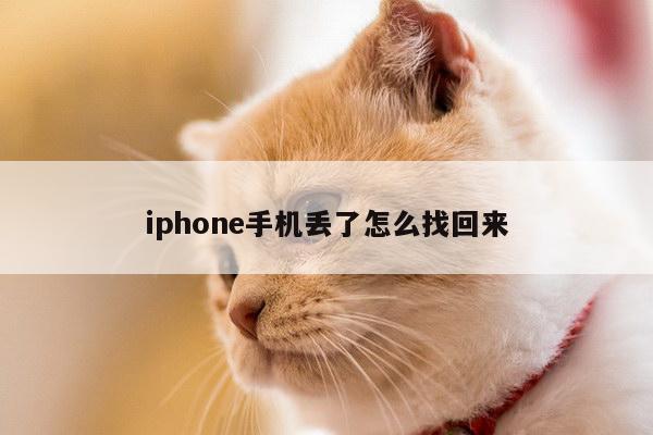iphone手机丢了怎么找回来