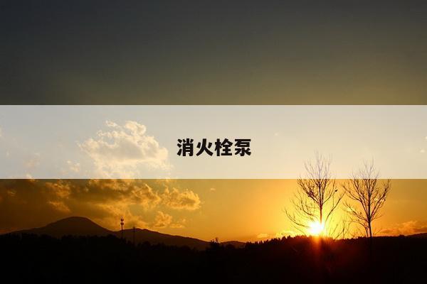 消火栓泵