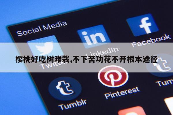 樱桃好吃树难栽,不下苦功花不开根本途径