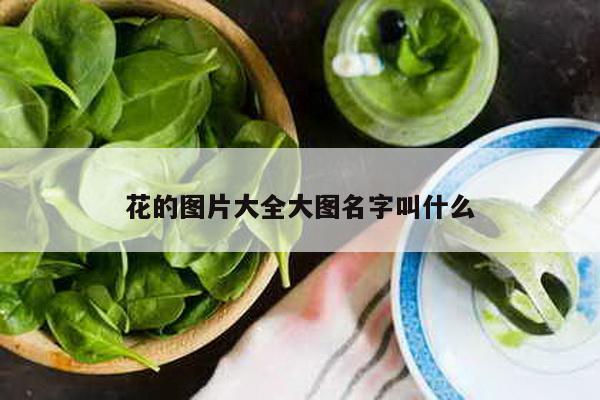 花的图片大全大图名字叫什么