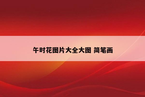 午时花图片大全大图 简笔画
