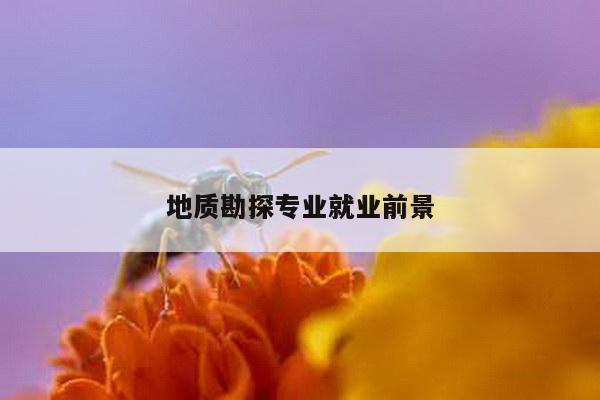 地质勘探专业就业前景