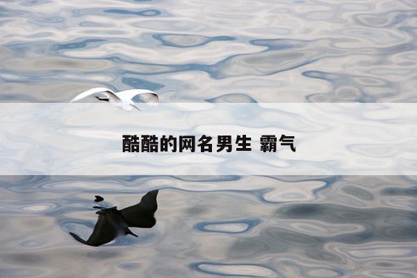 酷酷的网名男生 霸气