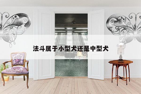 法斗属于小型犬还是中型犬
