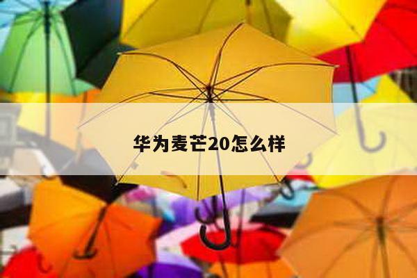 华为麦芒20怎么样