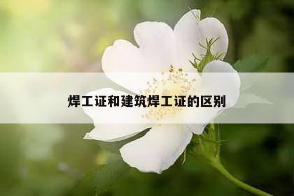 焊工证和建筑焊工证的区别