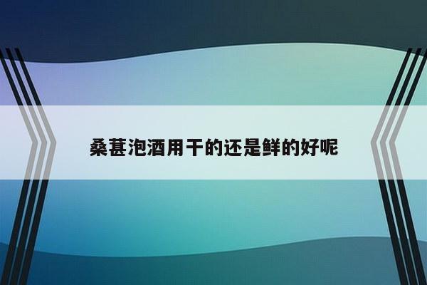 桑葚泡酒用干的还是鲜的好呢
