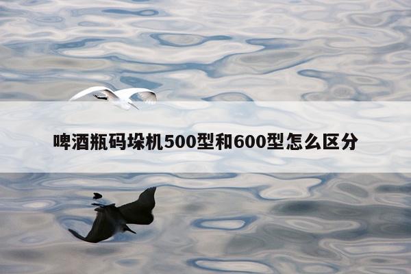 啤酒瓶码垛机500型和600型怎么区分