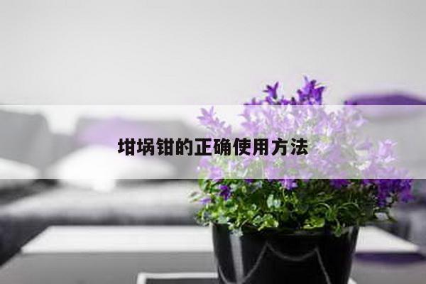 坩埚钳的正确使用方法