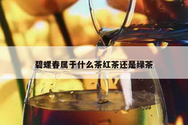 碧螺春属于什么茶红茶还是绿茶