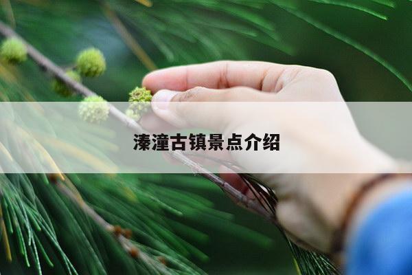 溱潼古镇景点介绍