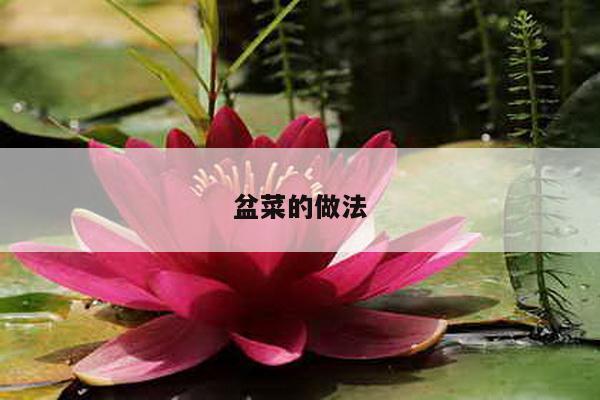 盆菜的做法