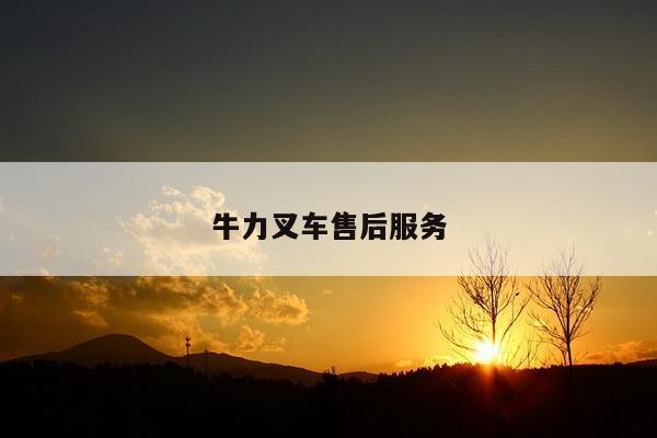 牛力叉车售后服务
