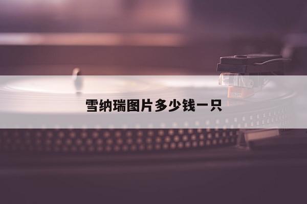雪纳瑞图片多少钱一只