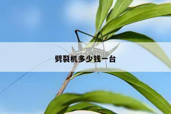 劈裂机多少钱一台