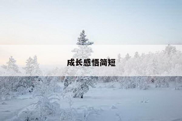 成长感悟简短