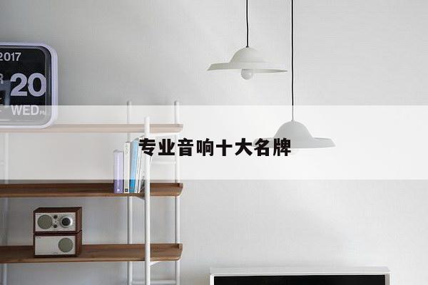 专业音响十大名牌