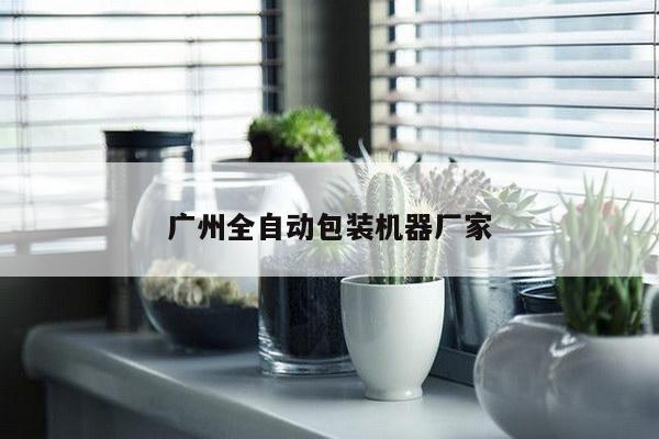 广州全自动包装机器厂家