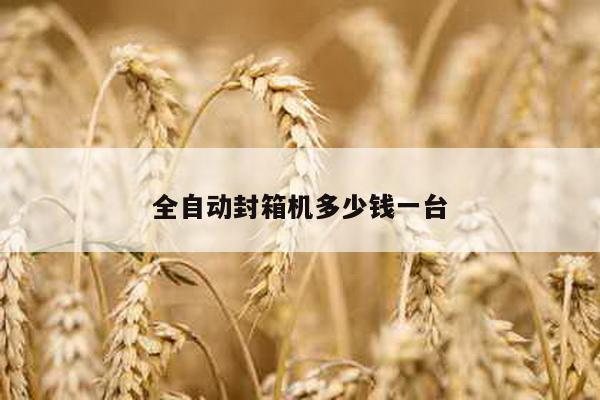 全自动封箱机多少钱一台