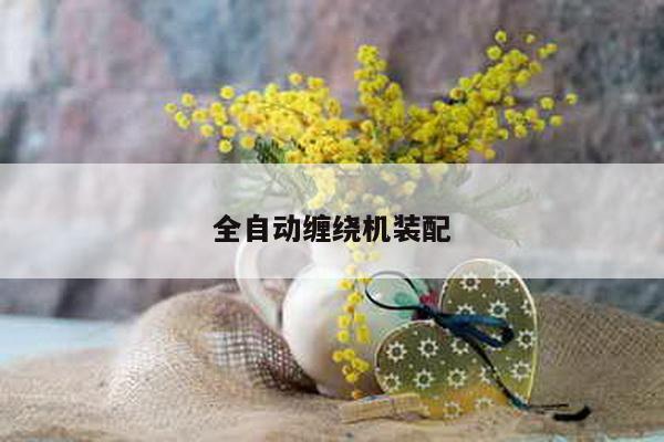 全自动缠绕机装配