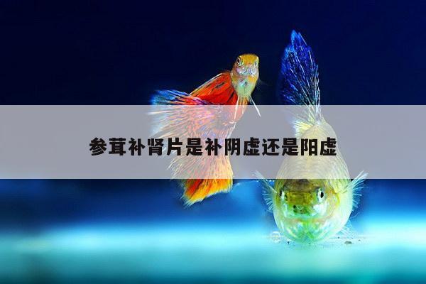 参茸补肾片是补阴虚还是阳虚