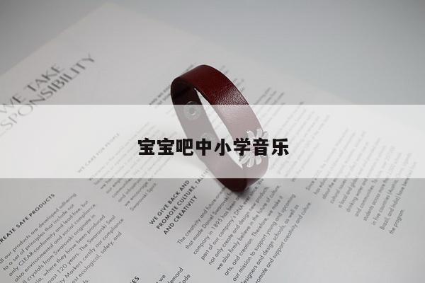 宝宝吧中小学音乐