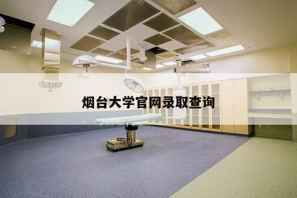 烟台大学官网录取查询