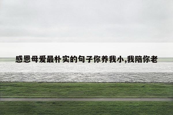 感恩母爱最朴实的句子你养我小,我陪你老