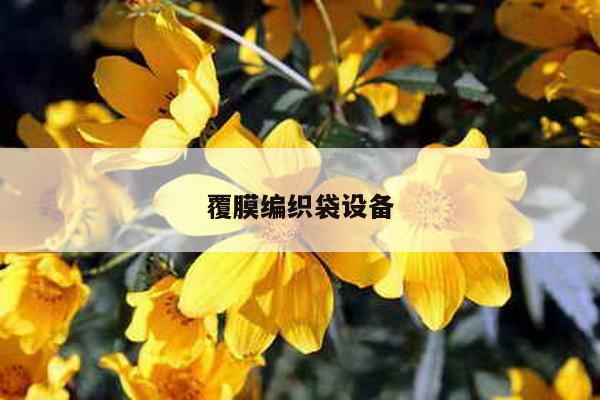 覆膜编织袋设备