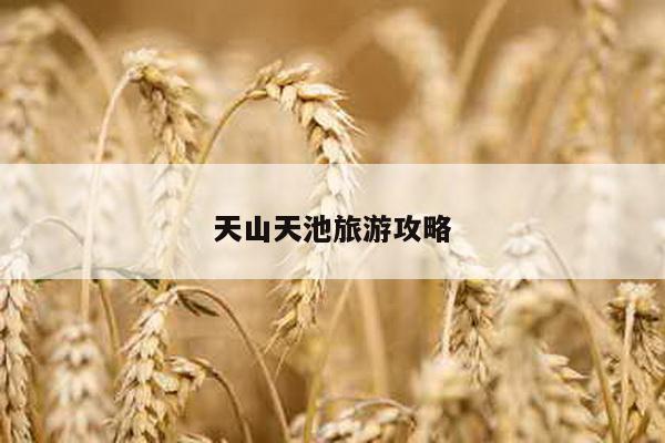 天山天池旅游攻略