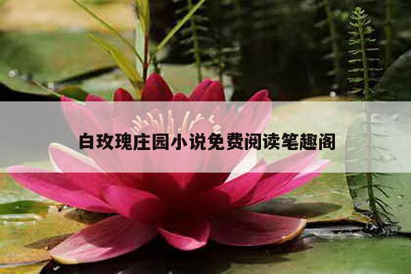 白玫瑰庄园小说免费阅读笔趣阁