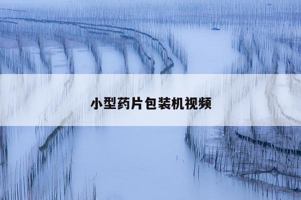 小型药片包装机视频