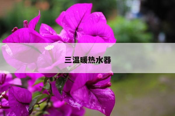 三温暖热水器
