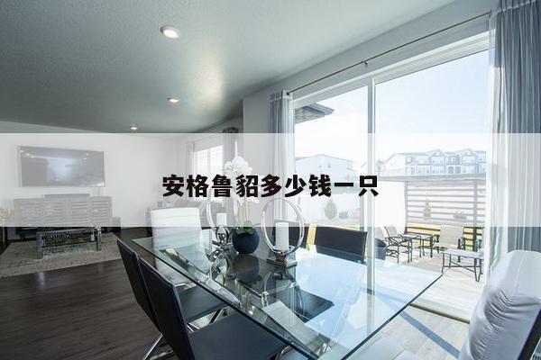 安格鲁貂多少钱一只