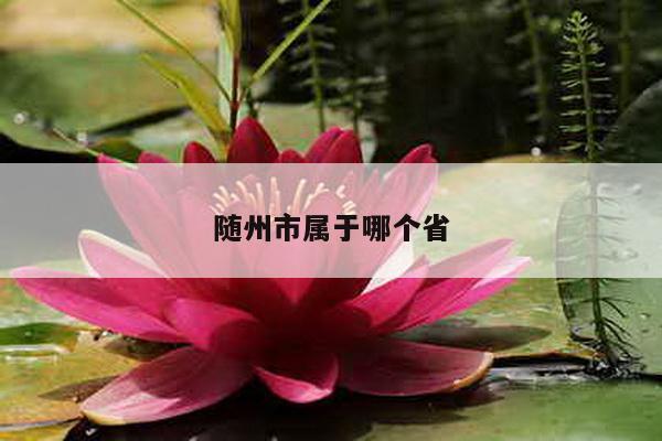 随州市属于哪个省