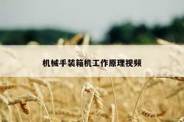 机械手装箱机工作原理视频