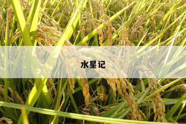 水星记