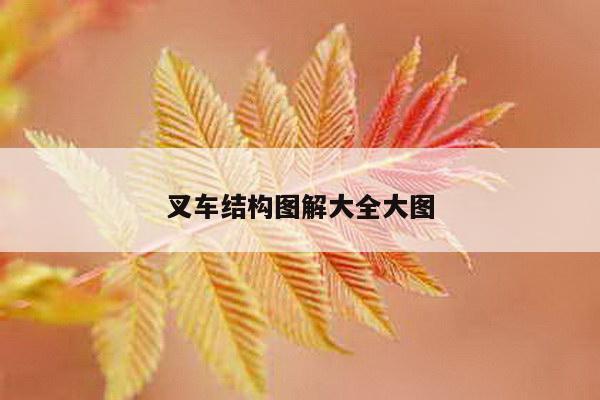 叉车结构图解大全大图