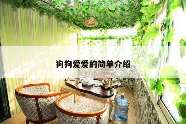 狗狗爱爱的简单介绍