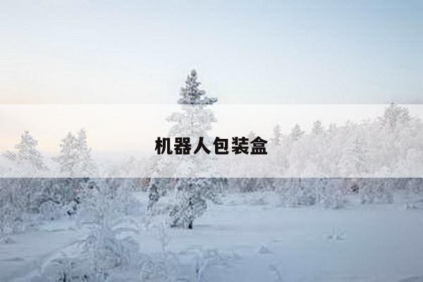 机器人包装盒