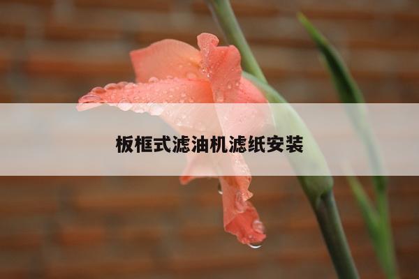 板框式滤油机滤纸安装