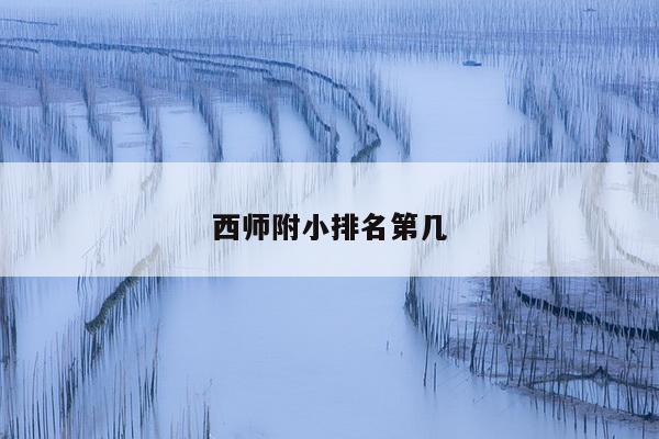 西师附小排名第几