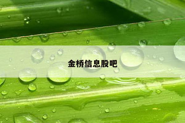 金桥信息股吧
