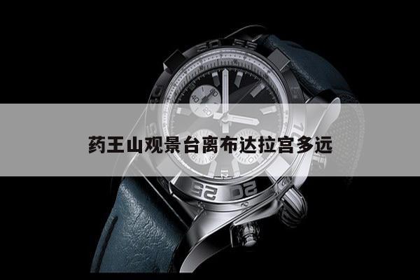 药王山观景台离布达拉宫多远