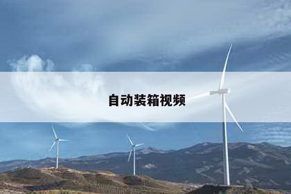 自动装箱视频